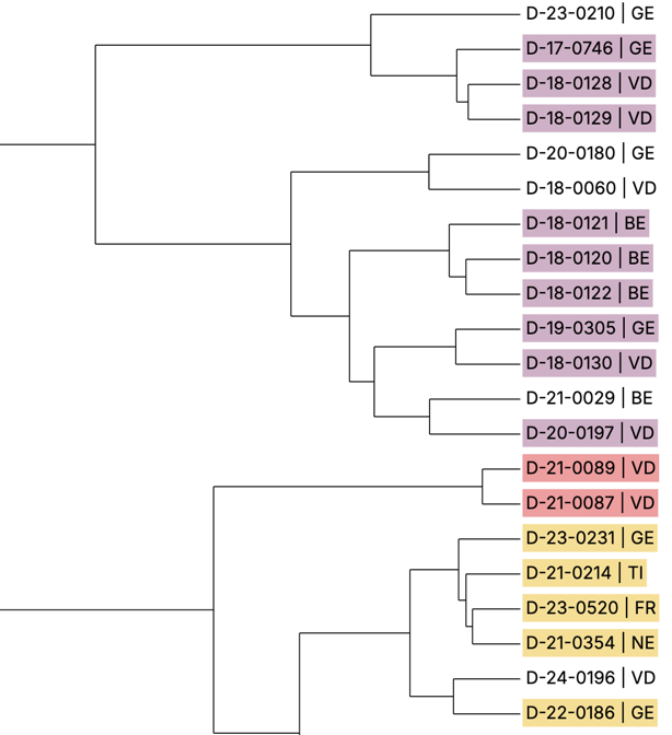 Portion a dendrogram generated by the new Padif algorithm